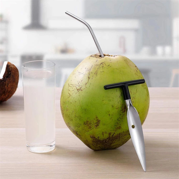 LMETJMA Coconut Opener Stainless Steel Coconut Opener Scraper Knife Coconut Punch Opener Tools JT101