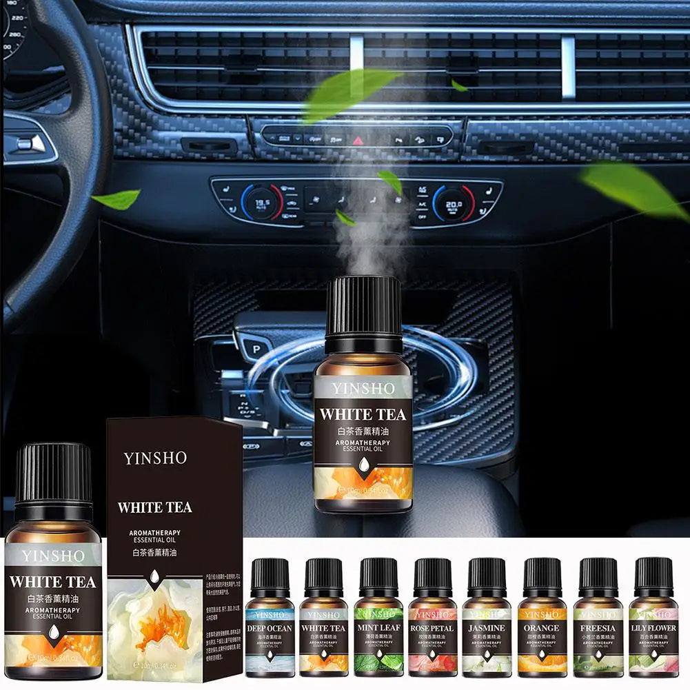 10PCS Essential Fragrance Oil for DIY Candles Making Pure Nature Oil for Diffuser Aromatherapy Fragrance Oil Vanilla Lavender