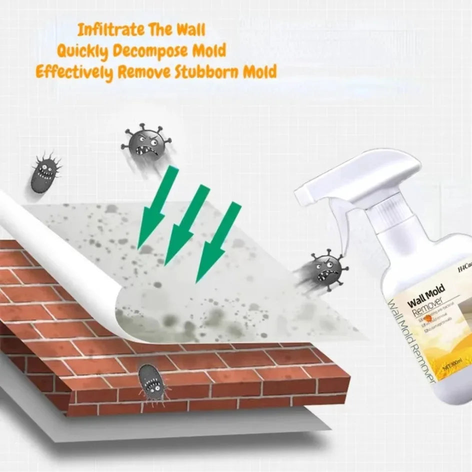 Mold Remover Spray Prevent Fungus Furniture Tile Wall Stains Removal Sink Descale Antibacterial Bathroom Mildew Cleaning Agent