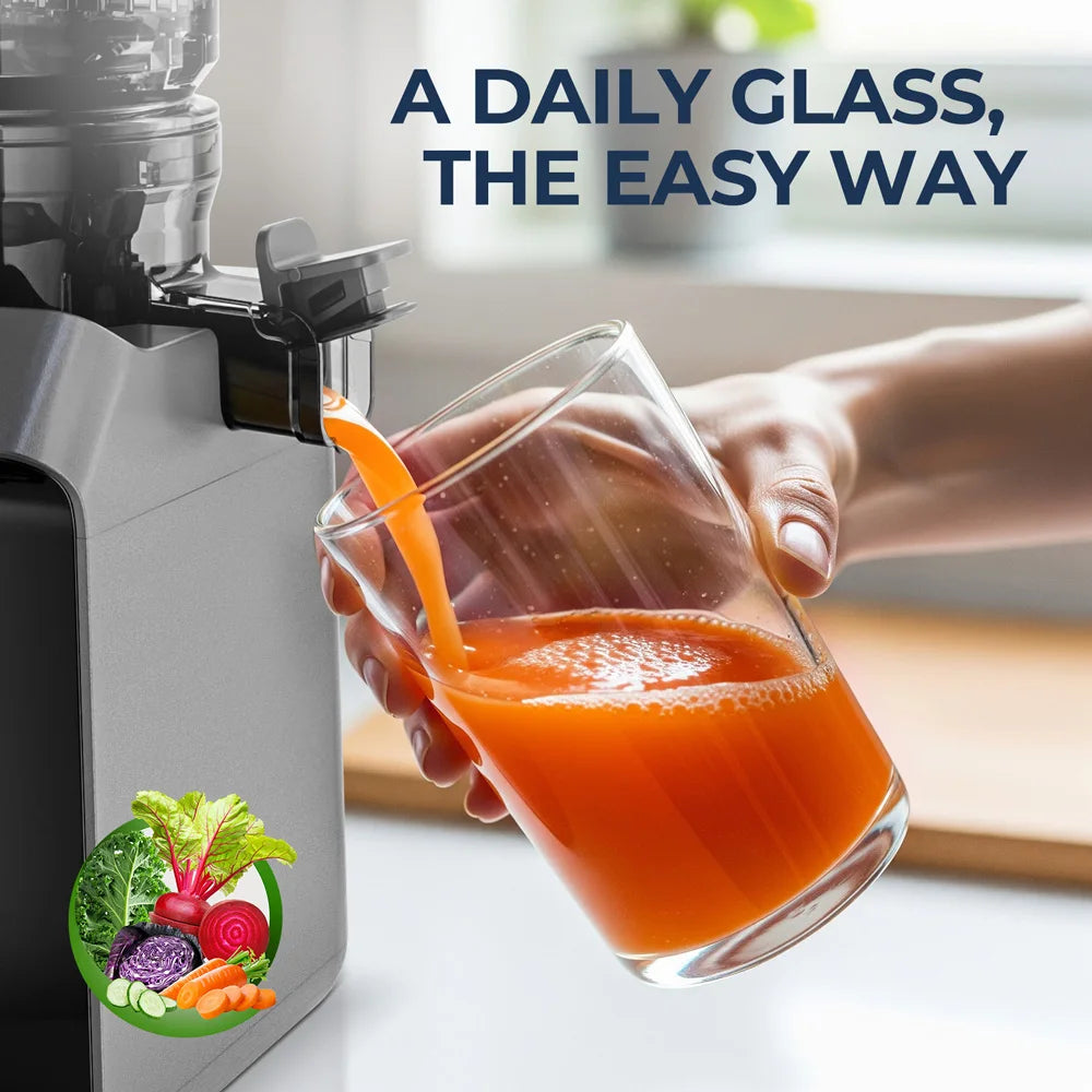ROUNY Slow Juicer, Cold Press Extractor with Filter-Free, Easy Clean Electric Fruit Juicer Machine with Large Caliber,  Black