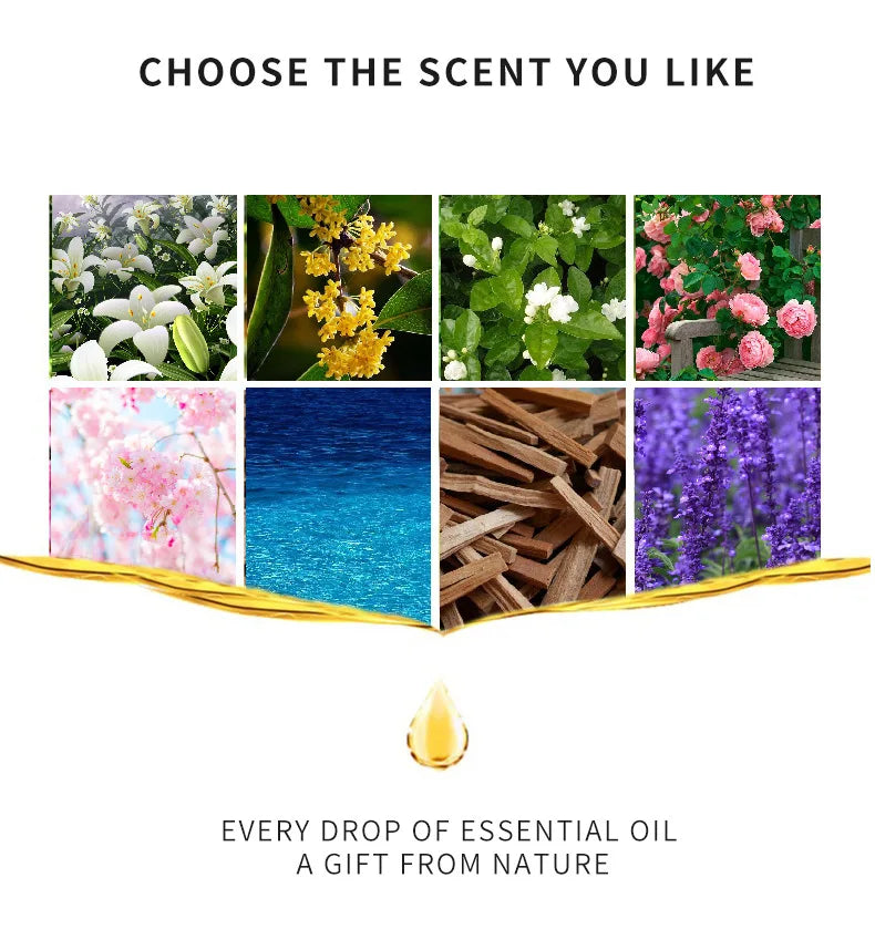 10ml Incense Water Soluble Essential Oil Lavender Tea Tree Lemon Rose Ocean Scent Humidifiers Refreshing Relax Releasing Stress