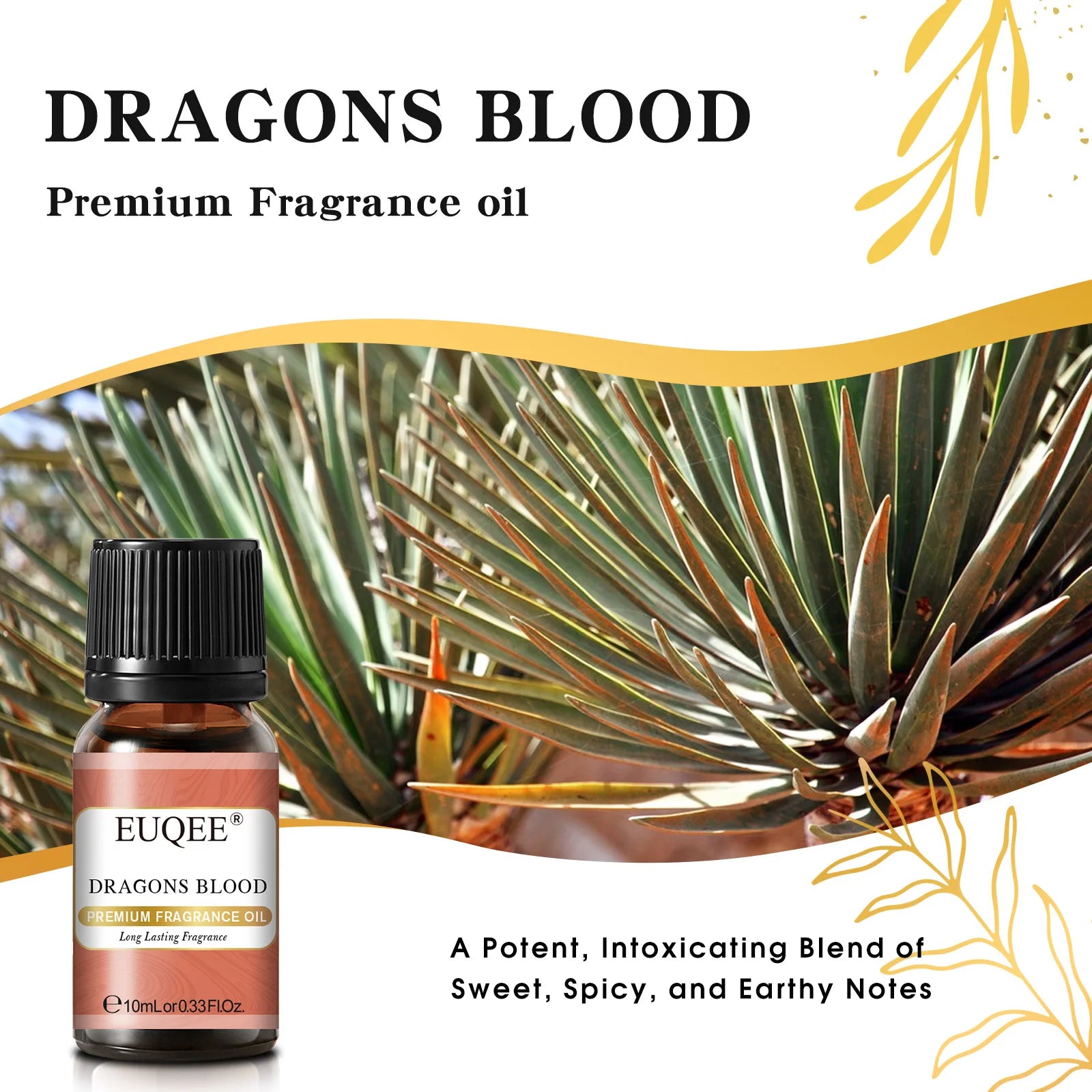 EUQEE 10ML Men's Fragrance Oil For Car Diffuser,Making Candle Leather Forest Pine Coffee Cake Cedarwood Bay Rum 1pcs/3pcs/6pcs