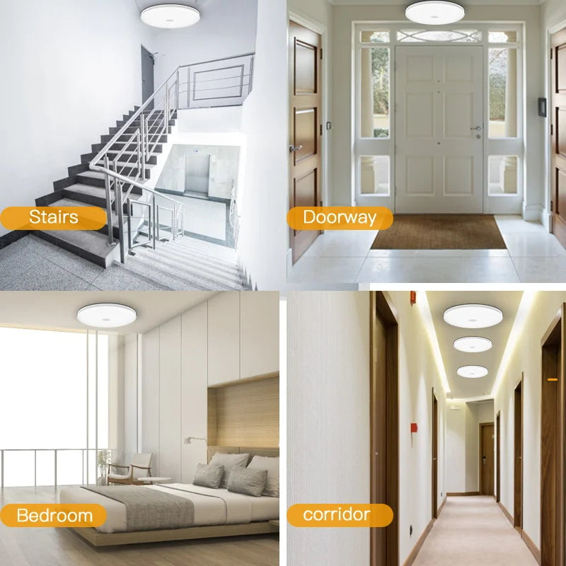 220V PIR Motion Sensor Ceiling Lamp 110V 220V Motion Detector Modern Ceiling Lighting For Corridor Garage Stair Balcony
