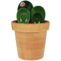 4Pcs Porcelain Measuring Spoons Set with Base Cute Cactus Shape Stirring Soup Spoon Ceramic Flower Pot Measuring Spoon