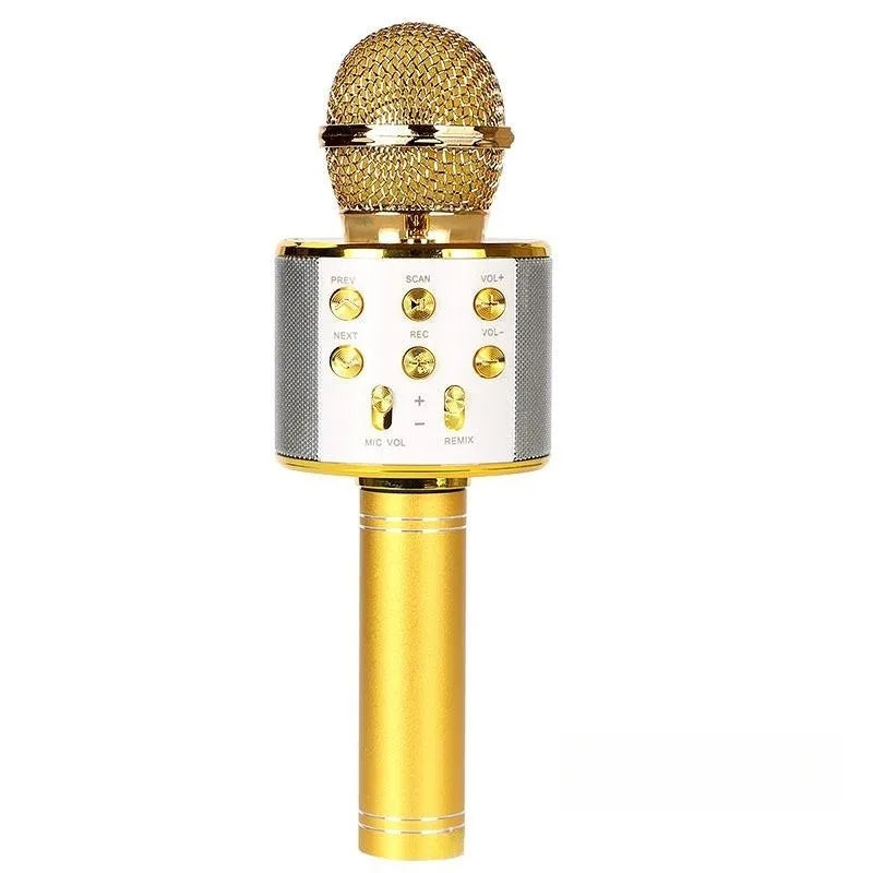 Kids Karaoke Microphone,  Kids Birthday Party Gift Toy for All Ages 2, 3, 4, 5, 6+ Year Old Girls, Boys & Toddlers