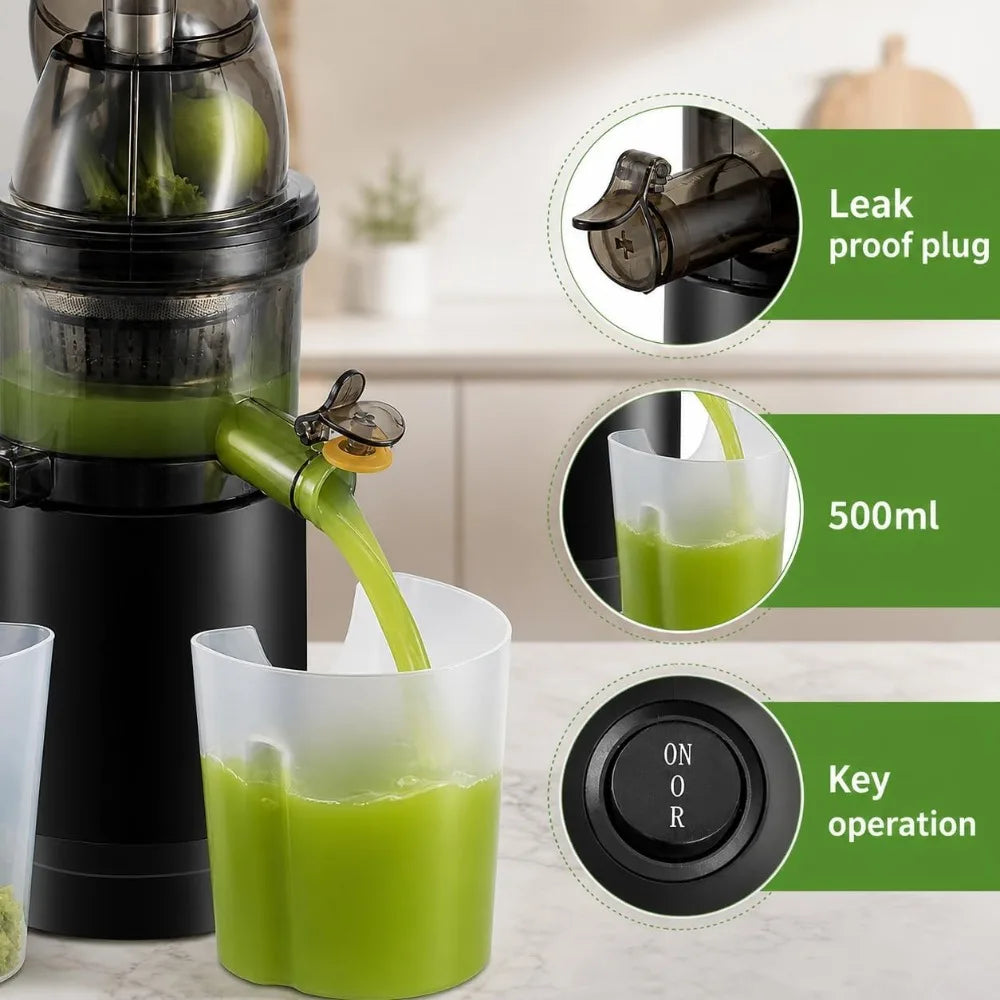 500W Cold Press Slow Juicer with Wide Feed Chute High Yield Quiet Motor Reverse Function Easy Clean