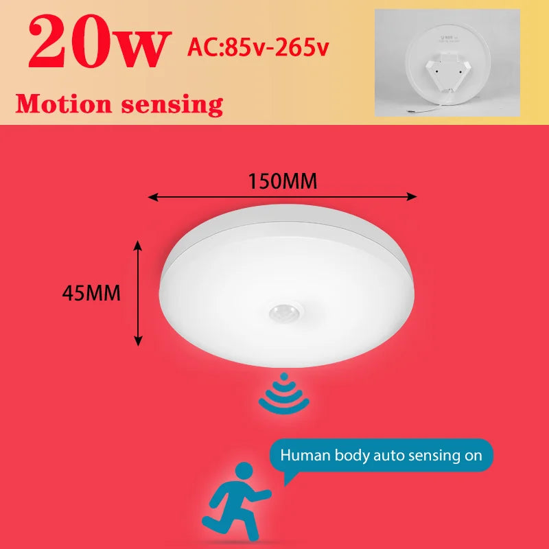 220V PIR Motion Sensor Ceiling Lamp 110V 220V Motion Detector Modern Ceiling Lighting For Corridor Garage Stair Balcony