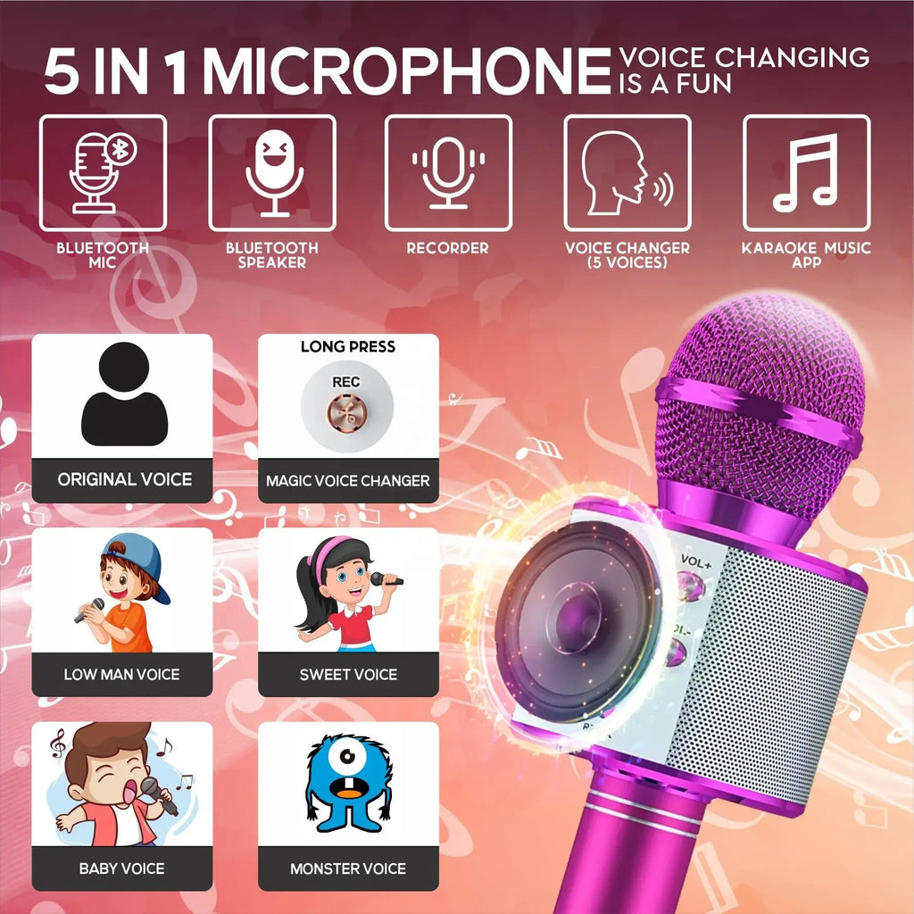 Karaoke Microphone for Kids & Adults  , Echo Effect, Built-in Speaker Portable Karaoke Player for Party Travel Gifts