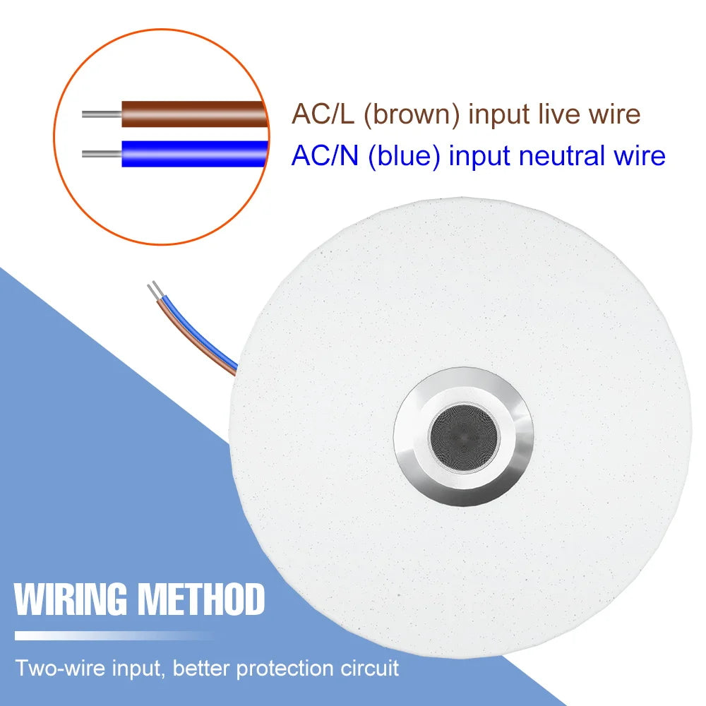 100W RGB LED Smart Ceiling Light AC100-240V Bluetooth Connection APP Remote Control Dimmable Chandelier With Speakers Music Lamp