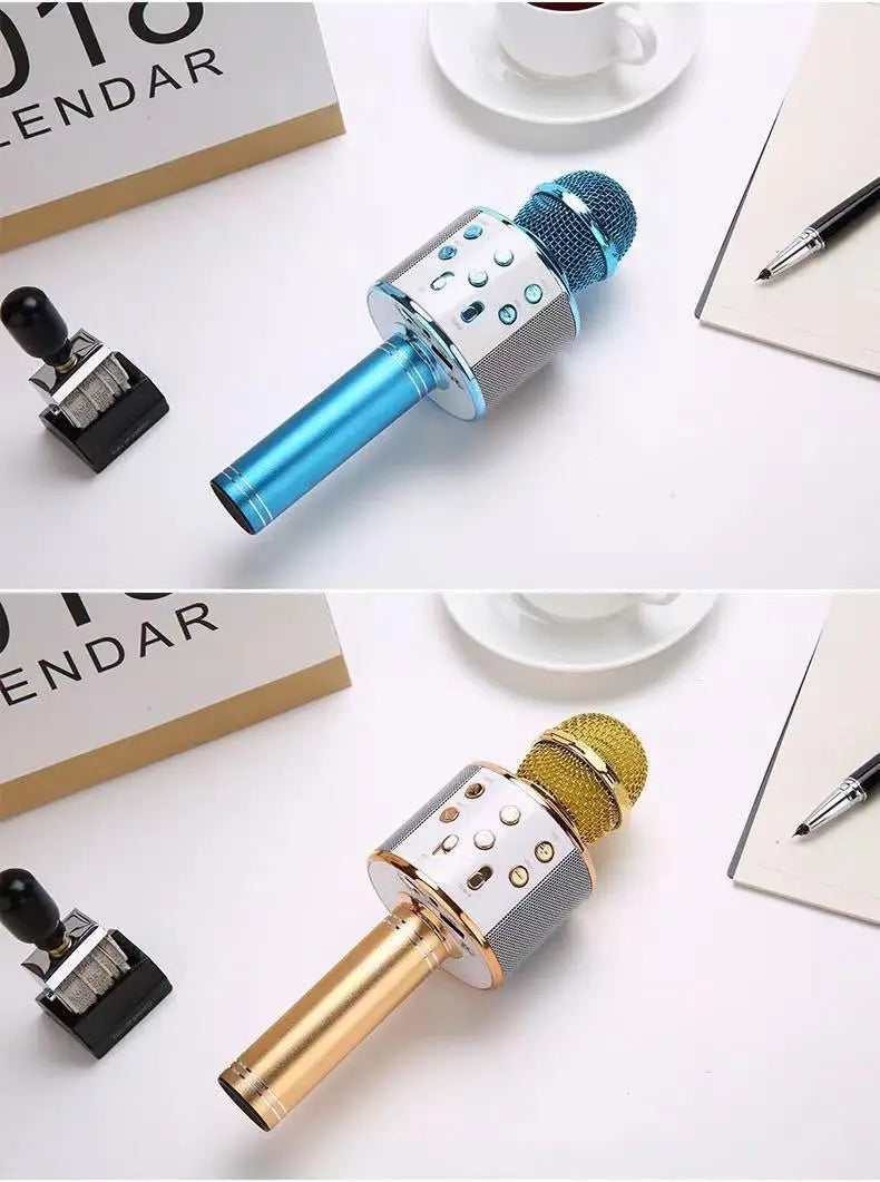 Karaoke Microphone for Kids & Adults  , Echo Effect, Built-in Speaker Portable Karaoke Player for Party Travel Gifts