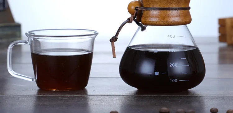 Hand Glass Coffee Kettle with Stainless Steel Filter Drip Brewing Hot Brewer Coffee Pot Dripper Barista Pour Over Coffee Maker