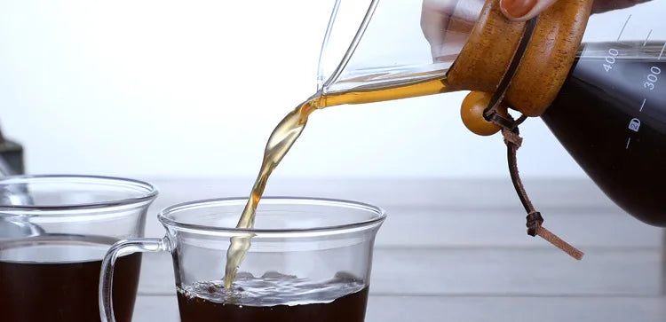 Hand Glass Coffee Kettle with Stainless Steel Filter Drip Brewing Hot Brewer Coffee Pot Dripper Barista Pour Over Coffee Maker