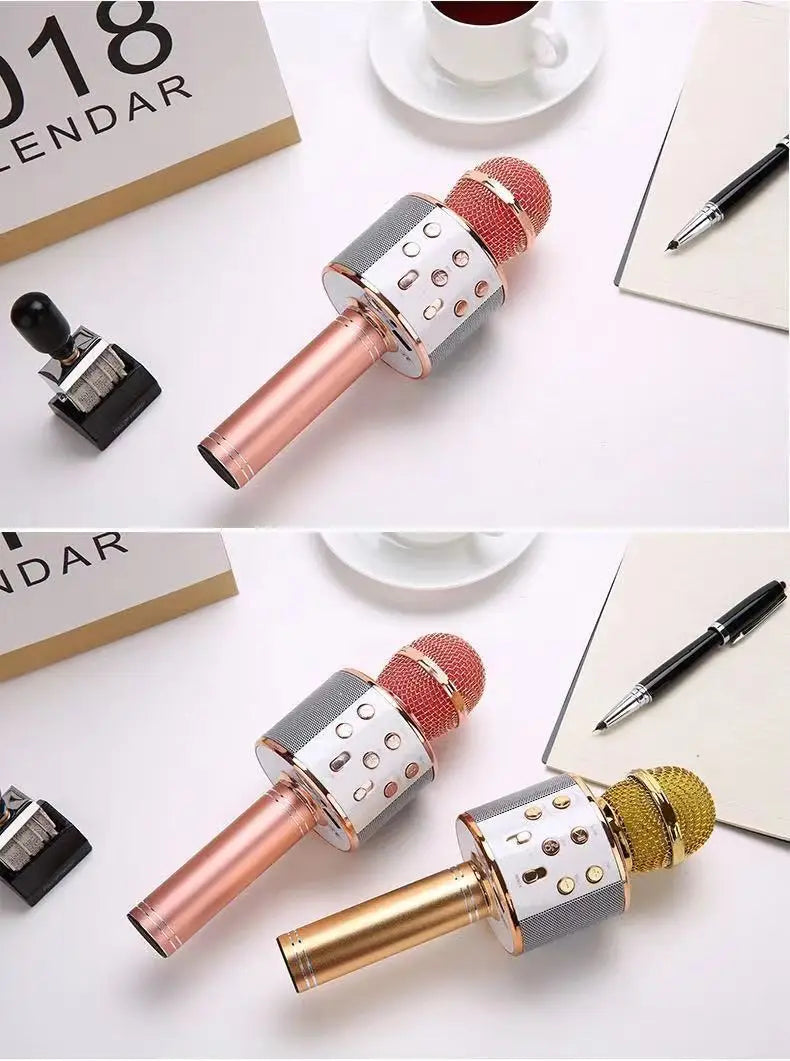 Karaoke Microphone for Kids & Adults  , Echo Effect, Built-in Speaker Portable Karaoke Player for Party Travel Gifts