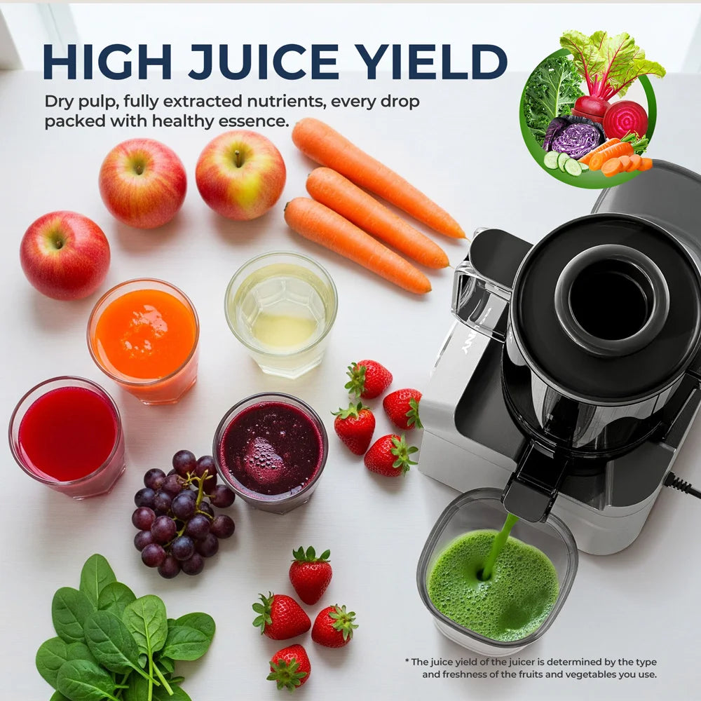 ROUNY Slow Juicer, Cold Press Extractor with Filter-Free, Easy Clean Electric Fruit Juicer Machine with Large Caliber,  Black