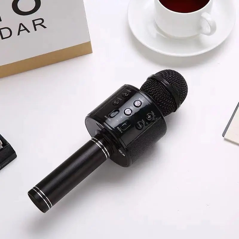 Karaoke Microphone for Kids & Adults  , Echo Effect, Built-in Speaker Portable Karaoke Player for Party Travel Gifts